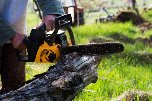 Best Tree Health Inspection  in Oakland, PA